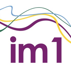 IM1:3