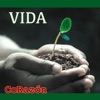 Vida - Single, 2021