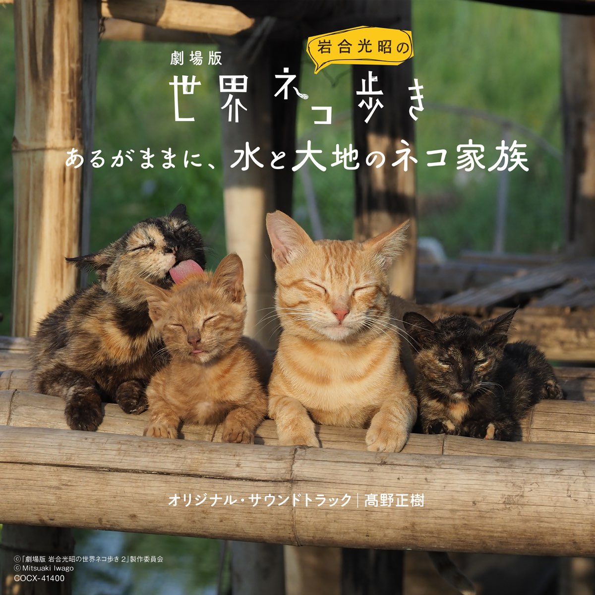 岩合光昭 オリジナルプリント 猫写真 - 写真