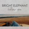 Follow You - Single