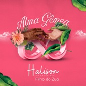 Alma Gêmea (feat. Filho do Zua) artwork