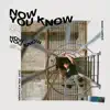 Now You Know (feat. Von Alexander) - Single album lyrics, reviews, download