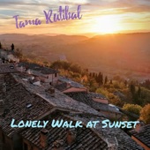 Lonely walk at sunset artwork