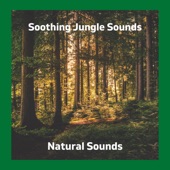 Soothing Jungle Sounds - EP artwork