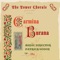 Carmina Burana, Primo Vere: Ecce Gratum (Live) artwork