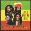 Love Is What We Need