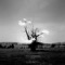 Wolfman's Dream (Yotam Avni Remix) - Kazuya Nagaya lyrics