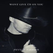 Won't Give up on You artwork