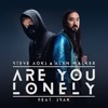 Are You Lonely (feat. ISÁK) by Steve Aoki iTunes Track 1