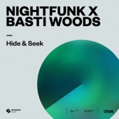 Hide & Seek (Extended Mix) artwork