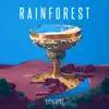 Stream & download Rainforest - Single