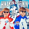 HIKAKIN & SEIKIN