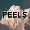 Feels artwork