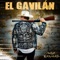 El Gavilán - Kanales lyrics