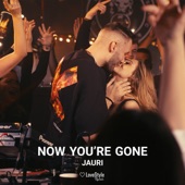 Now You're Gone (feat. Jordan Rys) [Extended Mix] artwork