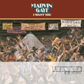 Marvin Gaye - I Want You (Single Version)