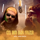 Cel Mai Bun Frizer (feat. Boier Bibescu) artwork