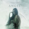 Angel (feat. Julie Elven) - R. Armando Morabito lyrics