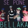 Se Pone Bellaka (feat. Rizo & Magic) - Single