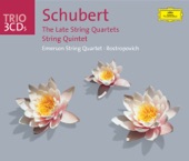 String Quartet No. 15 in G, D. 887: III. Scherzo (Allegro Vivace) artwork