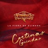 Cortinas Guindas - Single