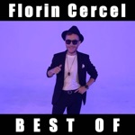 Ma asteapta lautarii