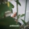 Andiamo - TOTA lyrics