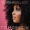 You're The Voice - Marisha Wallace lyrics