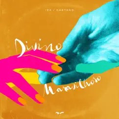 Divino Maravilhoso (feat. Caetano Veloso) Song Lyrics
