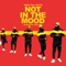 Not in the Mood - Single
