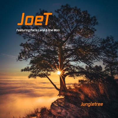 Joet Lyrics Playlists Videos Shazam