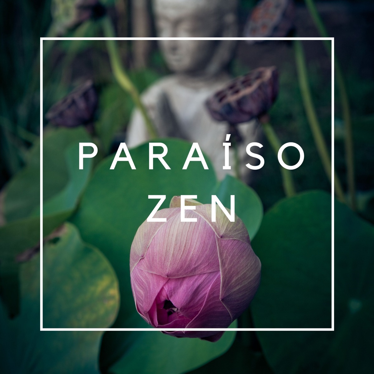 Musique Relaxante Tres Puissante Contre L Anxiete Et Le Stress Musique Relaxante Très Puissante Contre l'Anxiété et le Stress par Jardin  japonais sur Apple Music