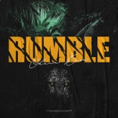 Rumble artwork