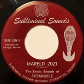 Mareld 2021 artwork