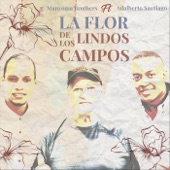 La Flor de los Lindos Campos (feat. Adalberto Santiago) artwork