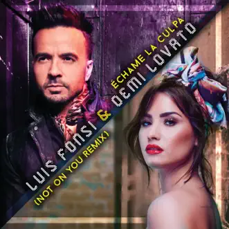 Échame La Culpa (Not On You Remix) by Luis Fonsi & Demi Lovato song reviws