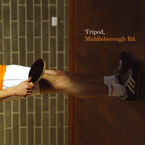 Cover artwork for Boobs