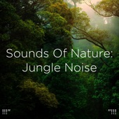!!!" Sounds of Nature: Jungle Noise "!!! artwork