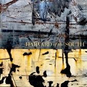 Harvard of the South artwork