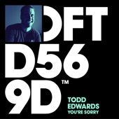 Todd Edwards - You're Sorry (Earsling Dub)