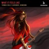 Thomas Gold - What It Feels Like