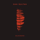 Dan Sultan - Can't Blame Me