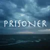 Prisoner (feat. Tiny Deaths) - Single album lyrics, reviews, download