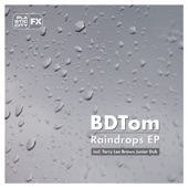 Raindrops EP artwork