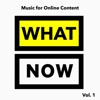 What Now - Music for Online Content - Vol. 1