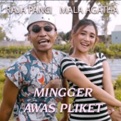 Mingger Awas pliket (feat. Raja Panci) artwork