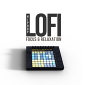 LoFi Hip Hop Focus & Relaxation artwork