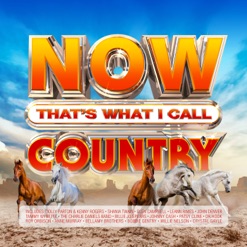 NOW THAT'S WHAT I CALL COUNTRY cover art