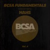 BCSA Fundamentals, Vol. 4 (DJ Mix)