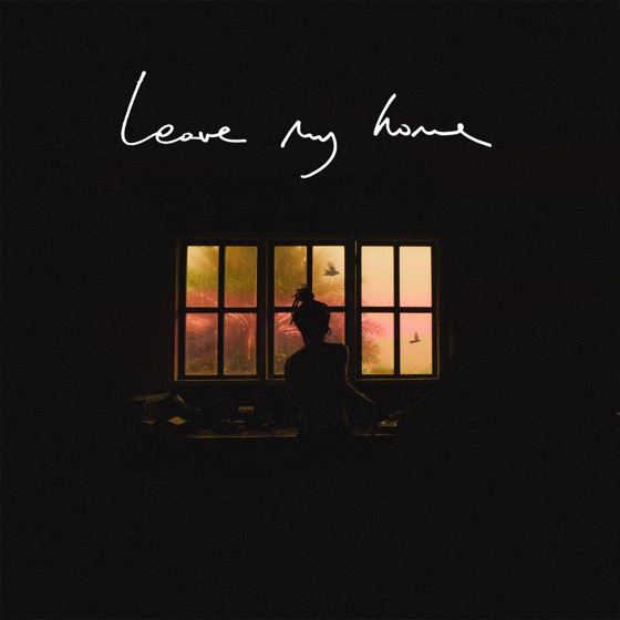 Cover artwork for Leave My Home